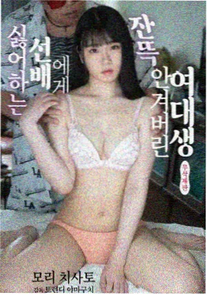 影视世界诸天大佬收录剧集旧城收音机封面图